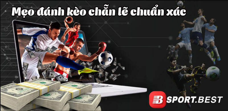 Mẹo đánh kèo chẵn lẻ dễ thắng nhất